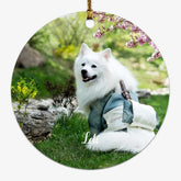 Custom Ornaments with Photo - Personalized Picture Gifts